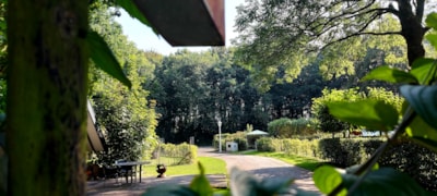 Buytenplaets Suydersee