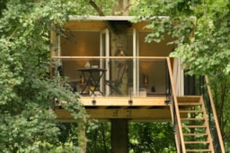 Accommodation - Cabin In The Trees Family - Buytenplaets Suydersee