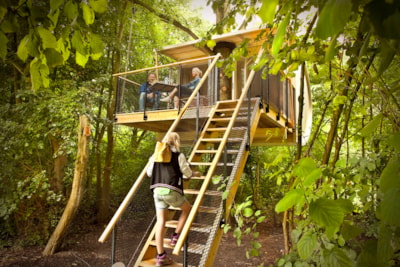 Cabin in the trees Family — 3