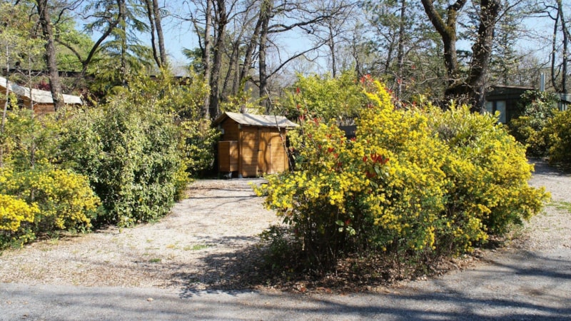 Luxe staanplaats (caravan - camper - grote tent - camper)