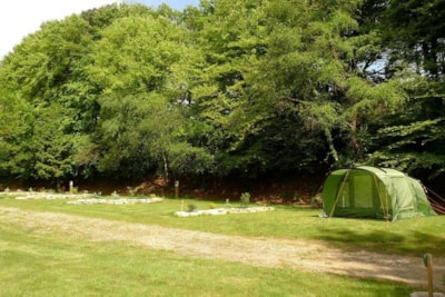Pitch + vehicle