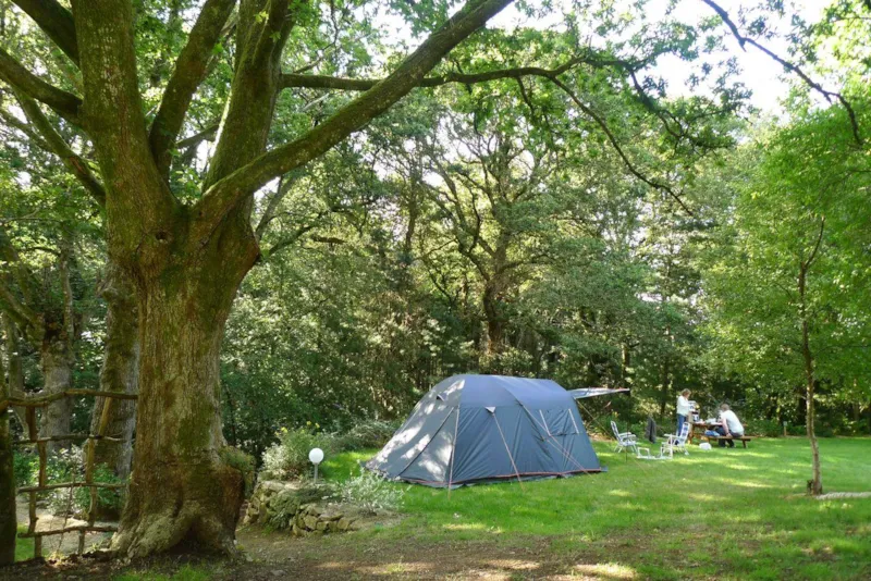 Emplacement + Véhicule