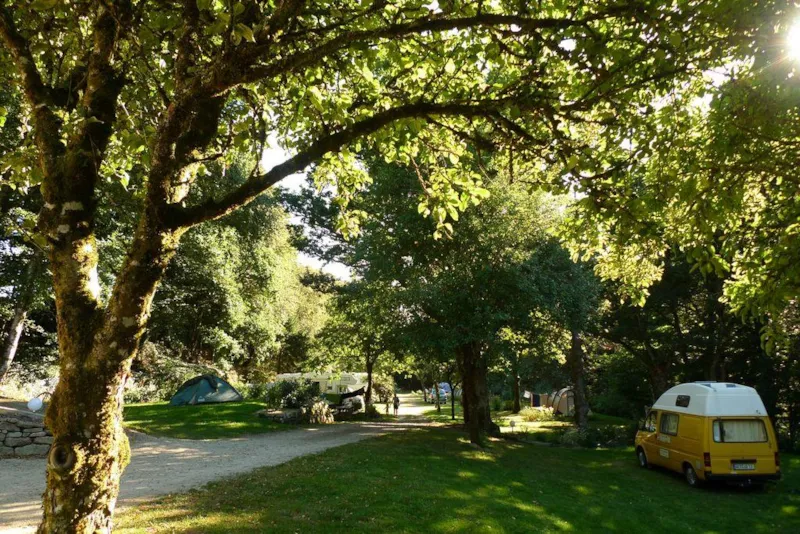 Emplacement + Véhicule