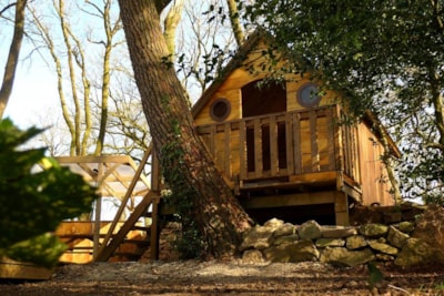 Wooden cabin