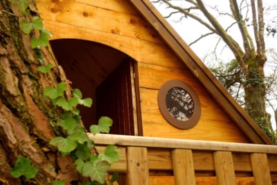 Wooden cabin