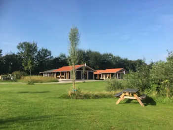 Pitch - Pitch + Electricity - Camping De Wedze