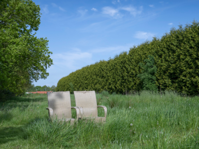 Camping De Wedze
