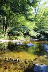 Foto #17 van Camping L’Ardéchois