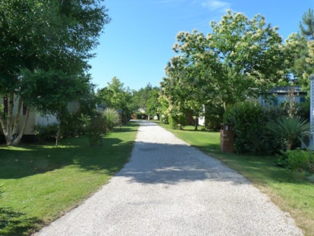 Domaine la Résinière