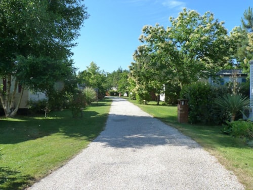 Foto #1 van Domaine la Résinière