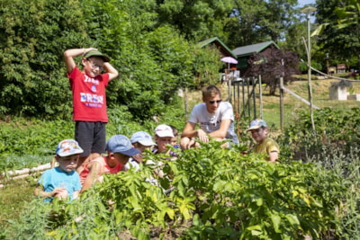 Camping de Tauves