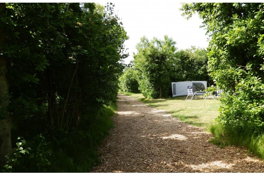 Camping Vogelenzang — Photo 2