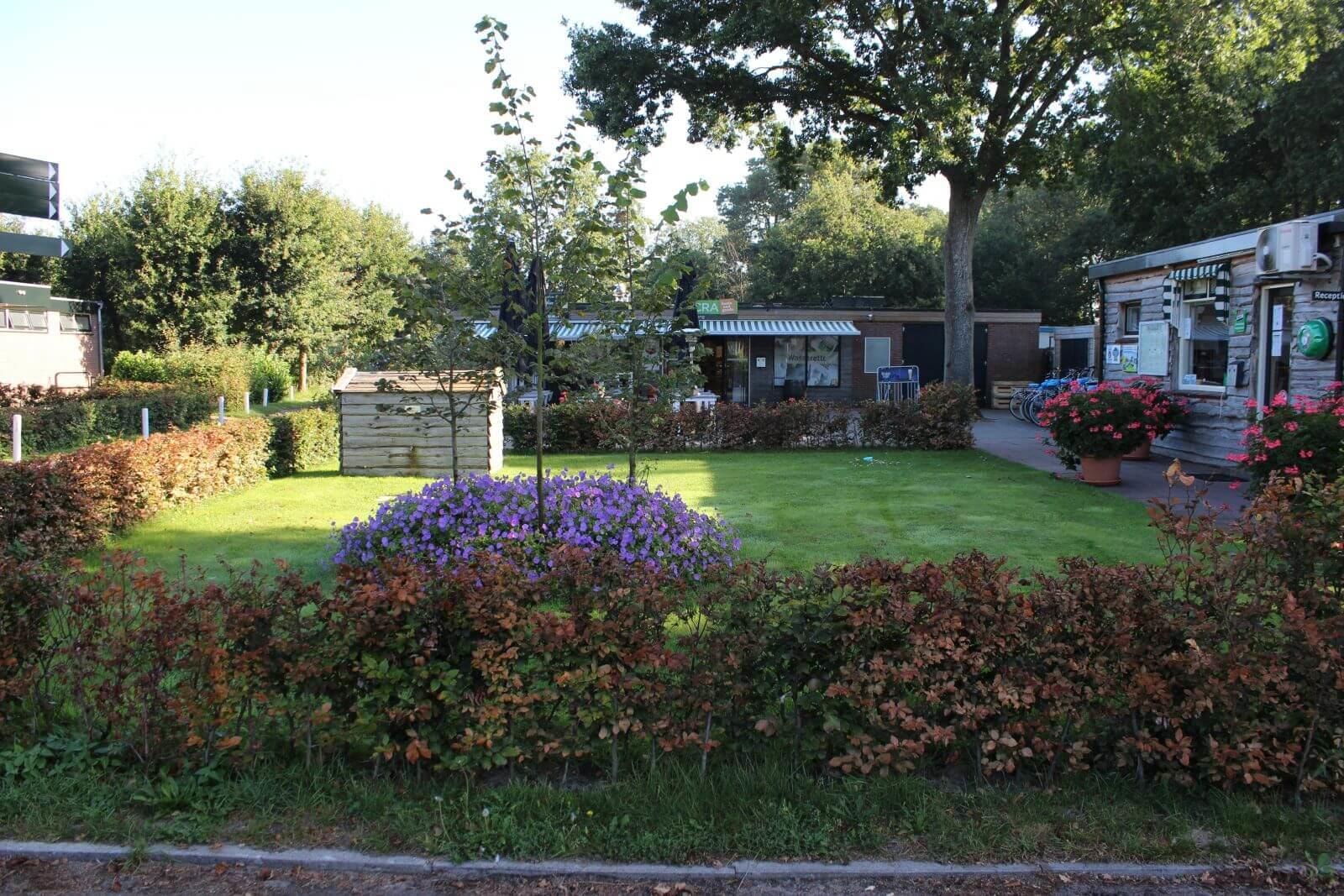 Camping Vogelenzang — Photo 3