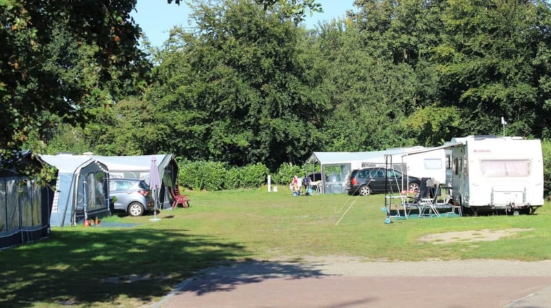 Camping Vogelenzang photo 5