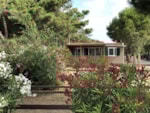 Green Chalet Green Chalet