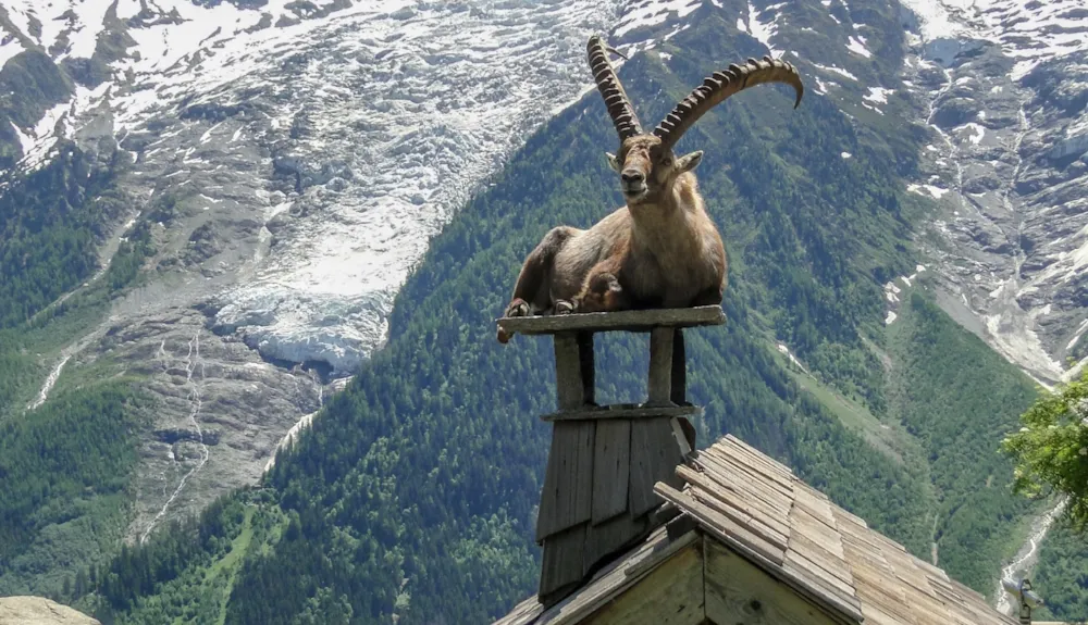 Chambre - B&B (Bed And Breakfast) - Chambre Individuelle - Les Cîmes du Léman à Habère-Poche