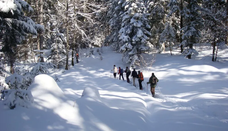 B&B (Bed And Breakfast)