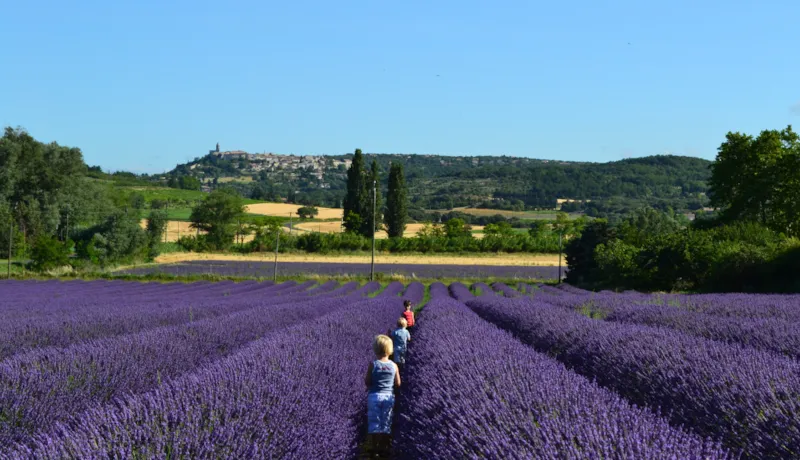 Séjour En Pension Complète - Chambre Standard