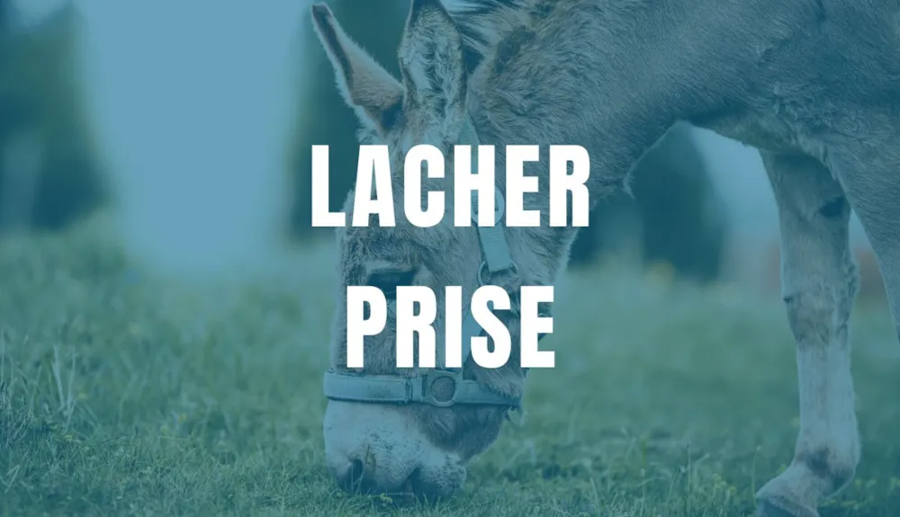 Chambre - Lâcher Prise Nature - Les Lavandes Drôme Provençale à Rémuzat