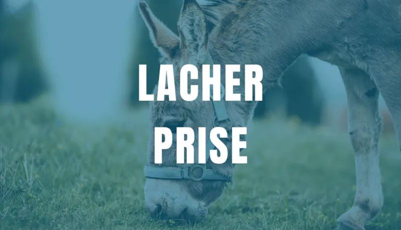 Lâcher Prise Nature