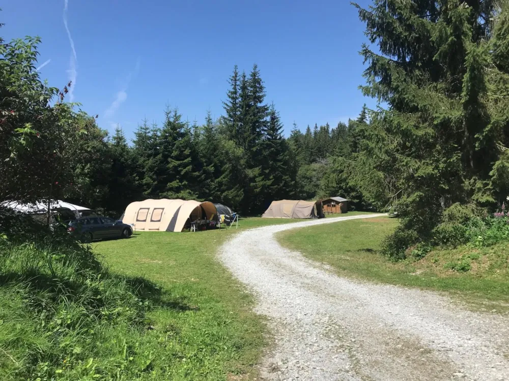 Standplaats : auto + tent / caravan of camper