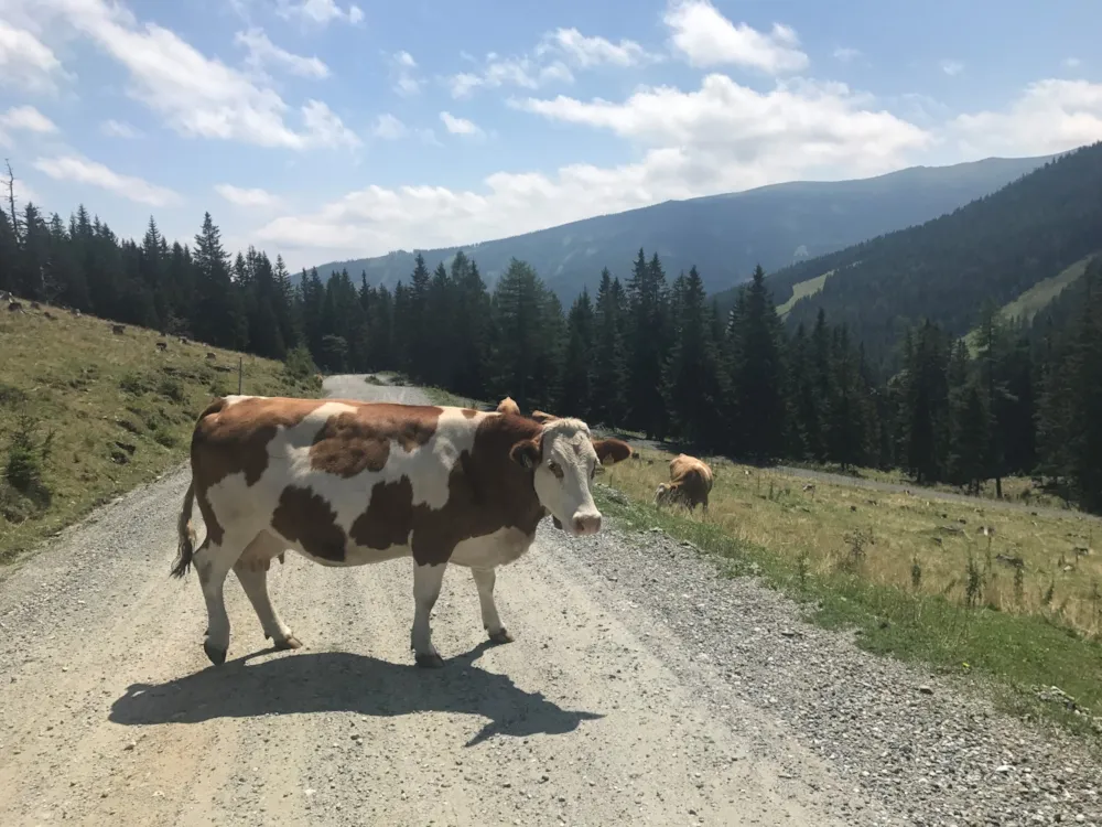 Camping Hebalm - image n°28 - UniversalBooking