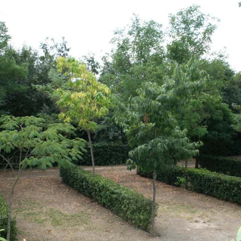 Emplacement : Tente + Électricité 6A