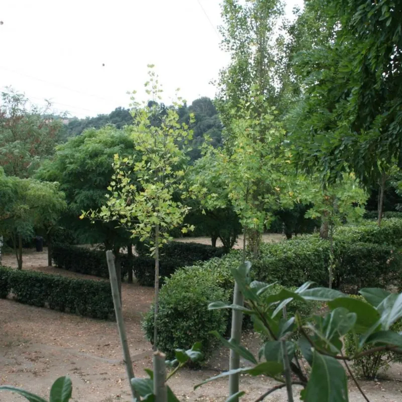 Emplacement : Caravane Ou Remorque Tente + Électricité 6A