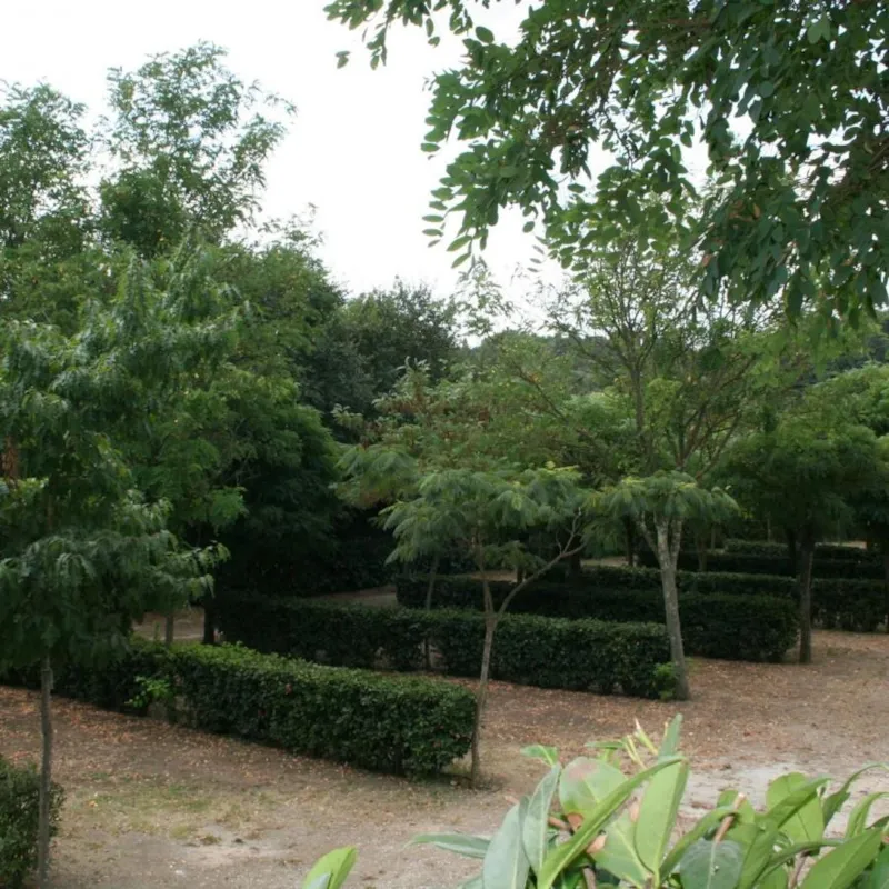 Emplacement (Tente Canadienne) + Électricité 6A