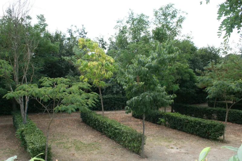 Emplacement (Tente Canadienne) + Électricité 6A
