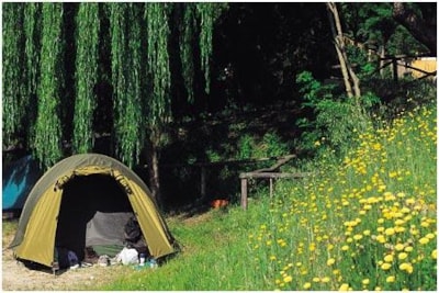 Pitch (Teepee) + electricity 6A — 5