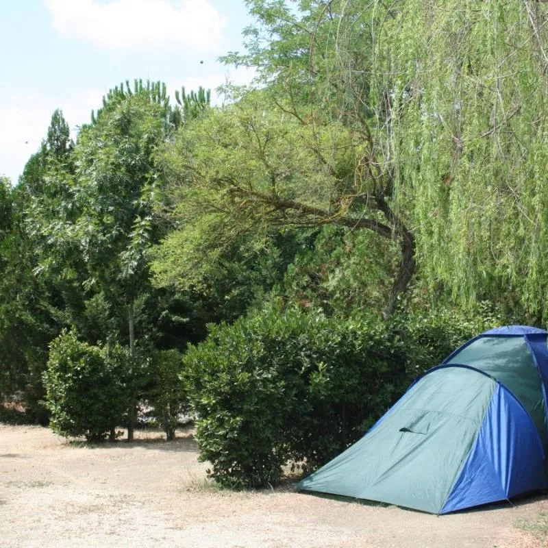 Emplacement : Tente + Électricité 6A