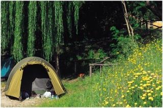 Pitch : tent + electricity 6A — 14