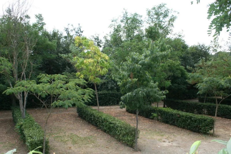 Emplacement : Camping-Car + Électricité 6A