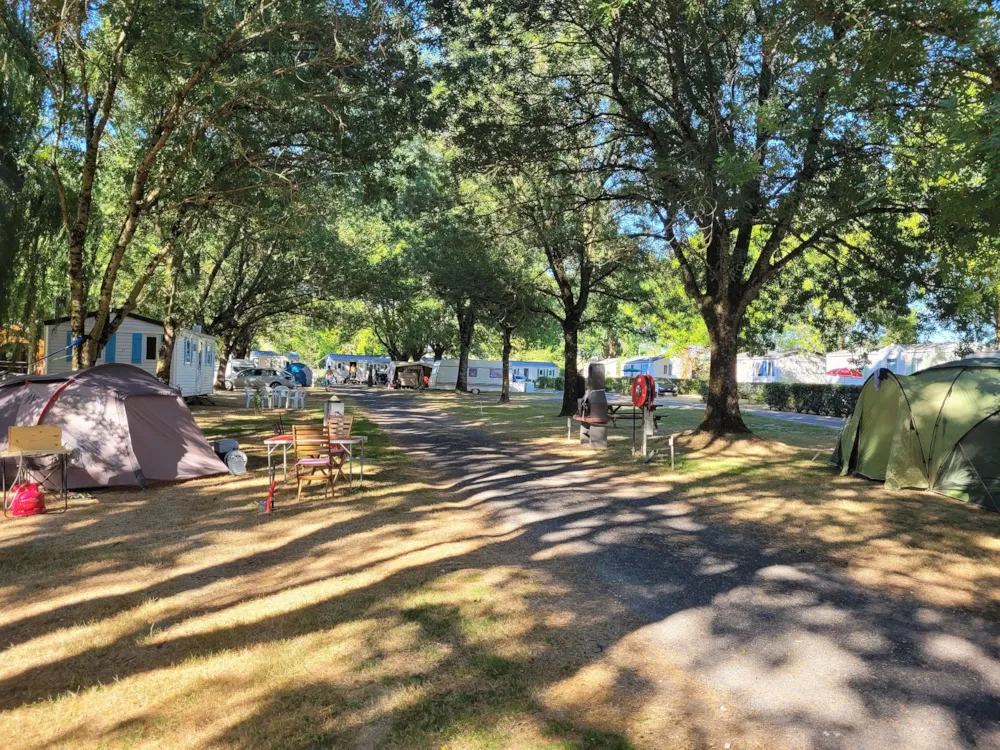 Emplacement - Emplacement - Camping Les 2 Salamandres