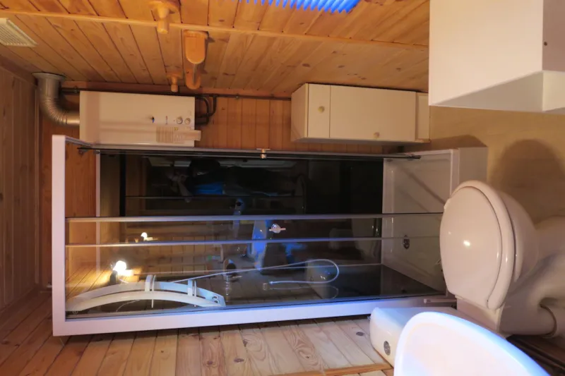 Chalet Bois 2Ch (Gamme Primo)