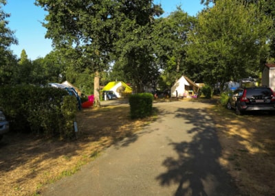 Pitch Grand Comfort