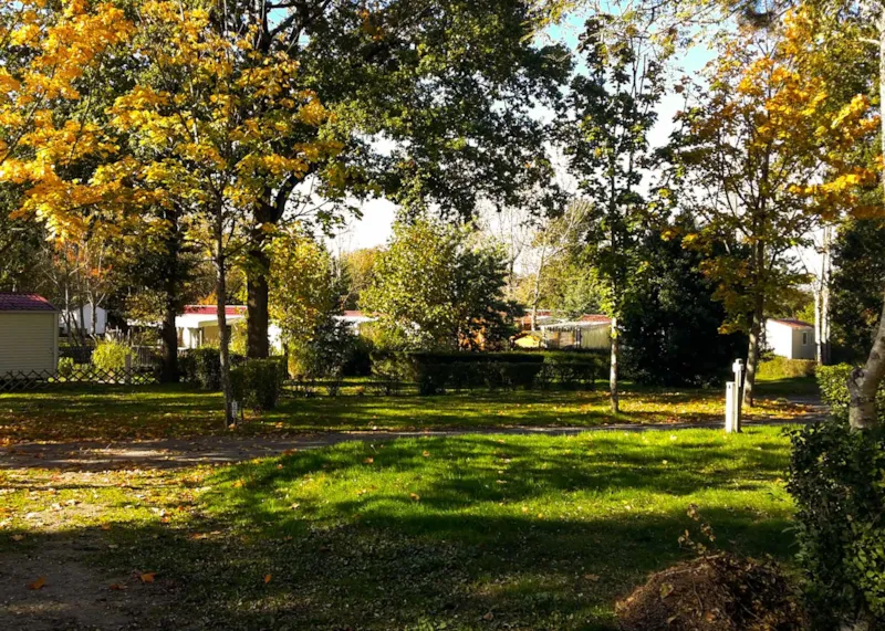 Emplacement Grand Confort