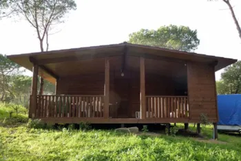 Mietunterkunft - Hölzerner Bungalow 35 M² - Calapineta Villaggio Camping