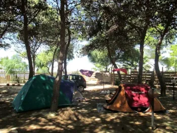 Stellplatz - Stellplatz + Zelt - Calapineta Villaggio Camping