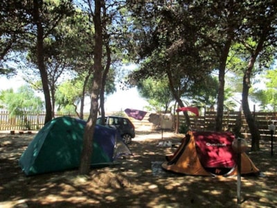 Pitch + tent — 1
