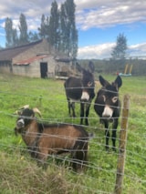 Foto #23 van Camping La Roussie