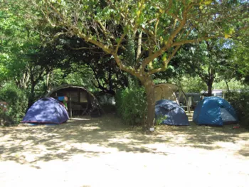 Stellplatz - Confort Stellplatz (Zelt, Wohnwagen, Wohnmobil / 1 Auto / Strom 10A) + Wifi - Flower Camping les Tomasses