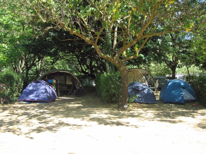 Confort Piazzola (tenda, roulotte, camper / 1 auto / Elettricità 10A) + WIFI gratuito