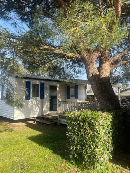 Mobil-Home Gama Eco + Terraza De Madera