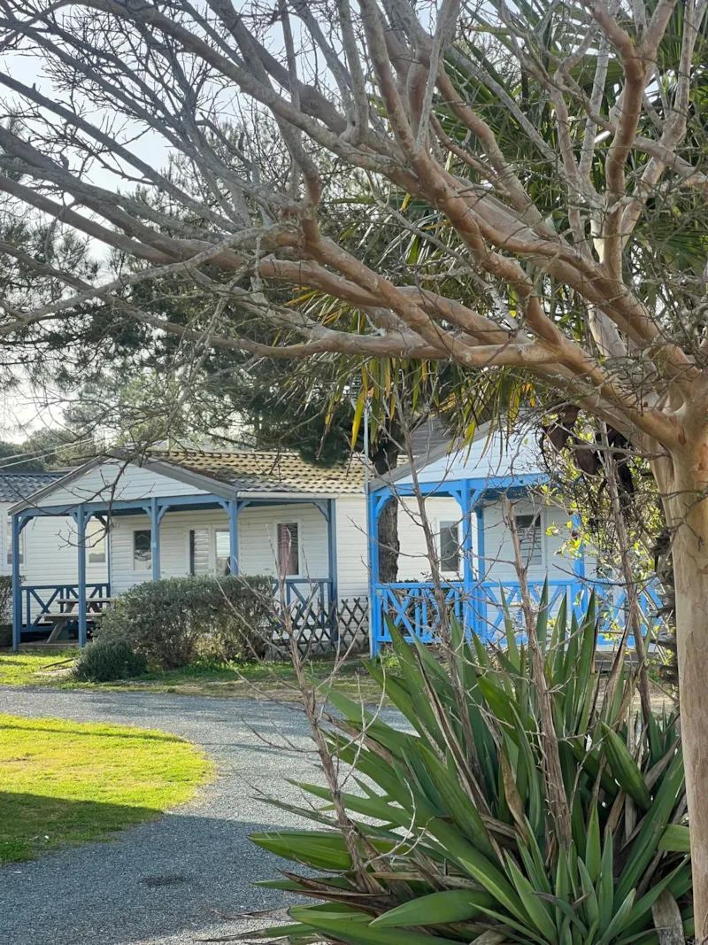 Chalet Eco - 3 Chambres