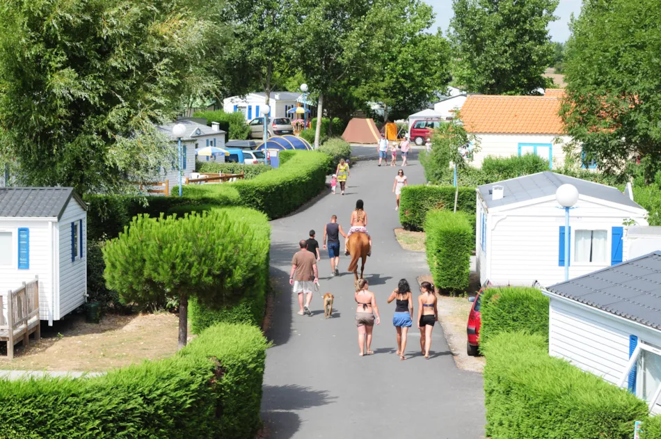 Camping APV Les Aventuriers de La Calypso