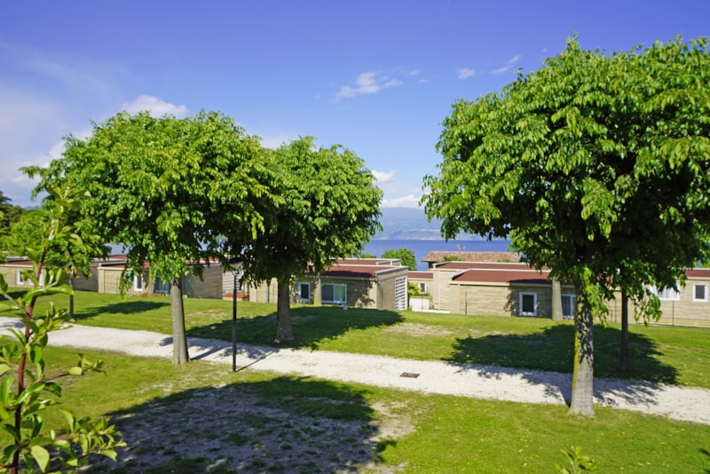 Camping Onda Blu - Photo 3