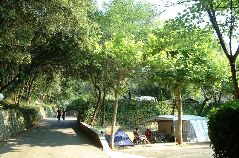 Sites et Paysages Les Pinèdes