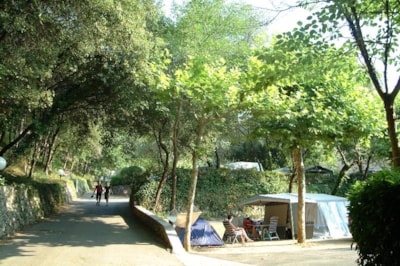 Sites et Paysages Les Pinèdes